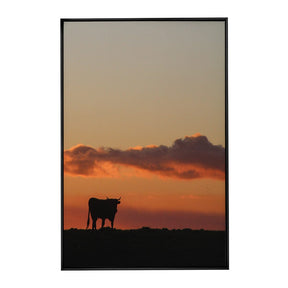 Quadro Decorativo Boi | Crônicas na Bagagem
