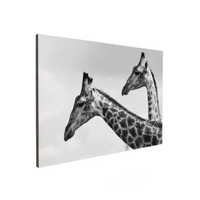 Quadro Decorativo Girafas | Sâmia Munaretti & Marcelo Baldin