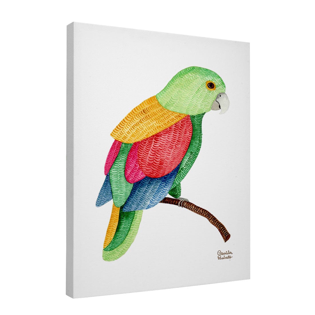 Quadro Decorativo Papagaio Bordado | Camila Pasinato