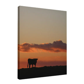 Quadro Decorativo Boi | Crônicas na Bagagem