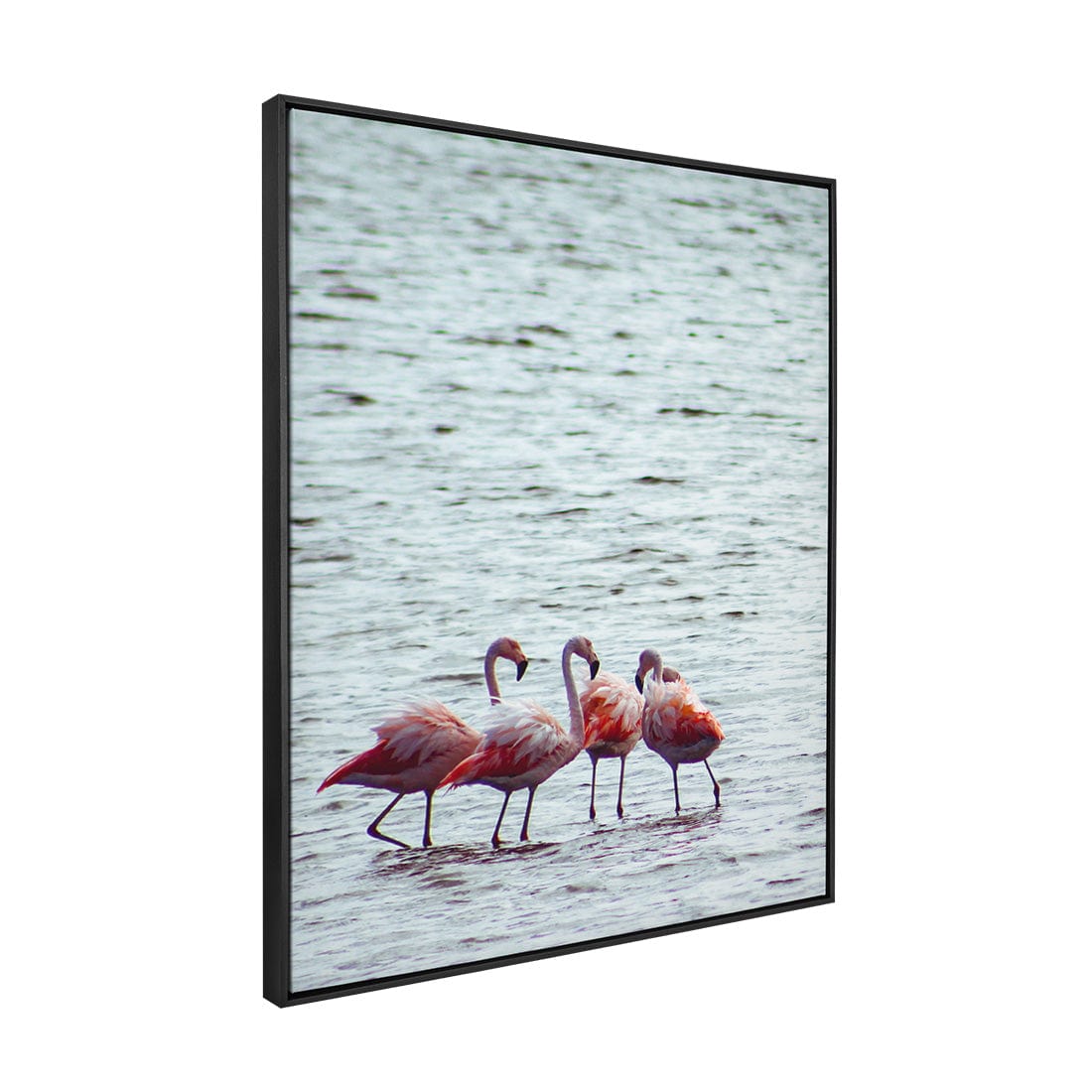 Quadro Decorativo Flamingo | Crônicas na Bagagem