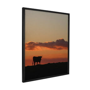 Quadro Decorativo Boi | Crônicas na Bagagem