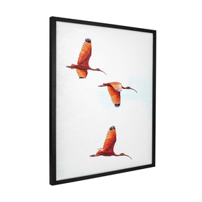 Quadro Decorativo Guará | Crônicas na Bagagem