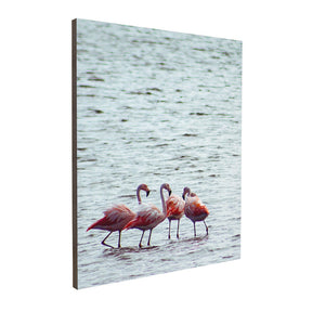 Quadro Decorativo Flamingo | Crônicas na Bagagem