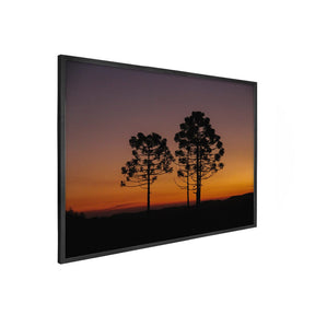 Quadro Decorativo Araucária | Crônicas na Bagagem