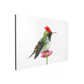 Quadro Decorativo Pássaro Beija-Flor | Aline Gomes