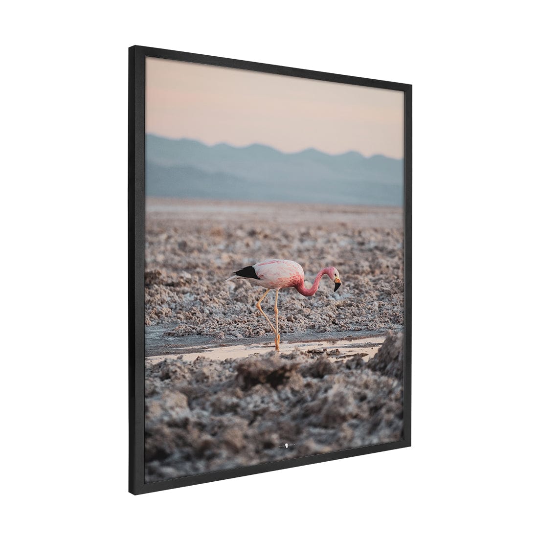 Quadro Decorativo Flamingo | Patricia Schussel Gomes