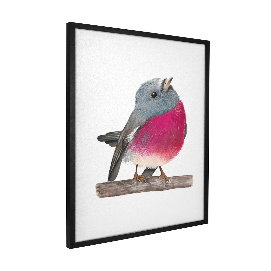 Quadro Decorativo Pássaro Pink Robin | Aline Gomes