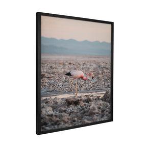 Quadro Decorativo Flamingo | Patricia Schussel Gomes