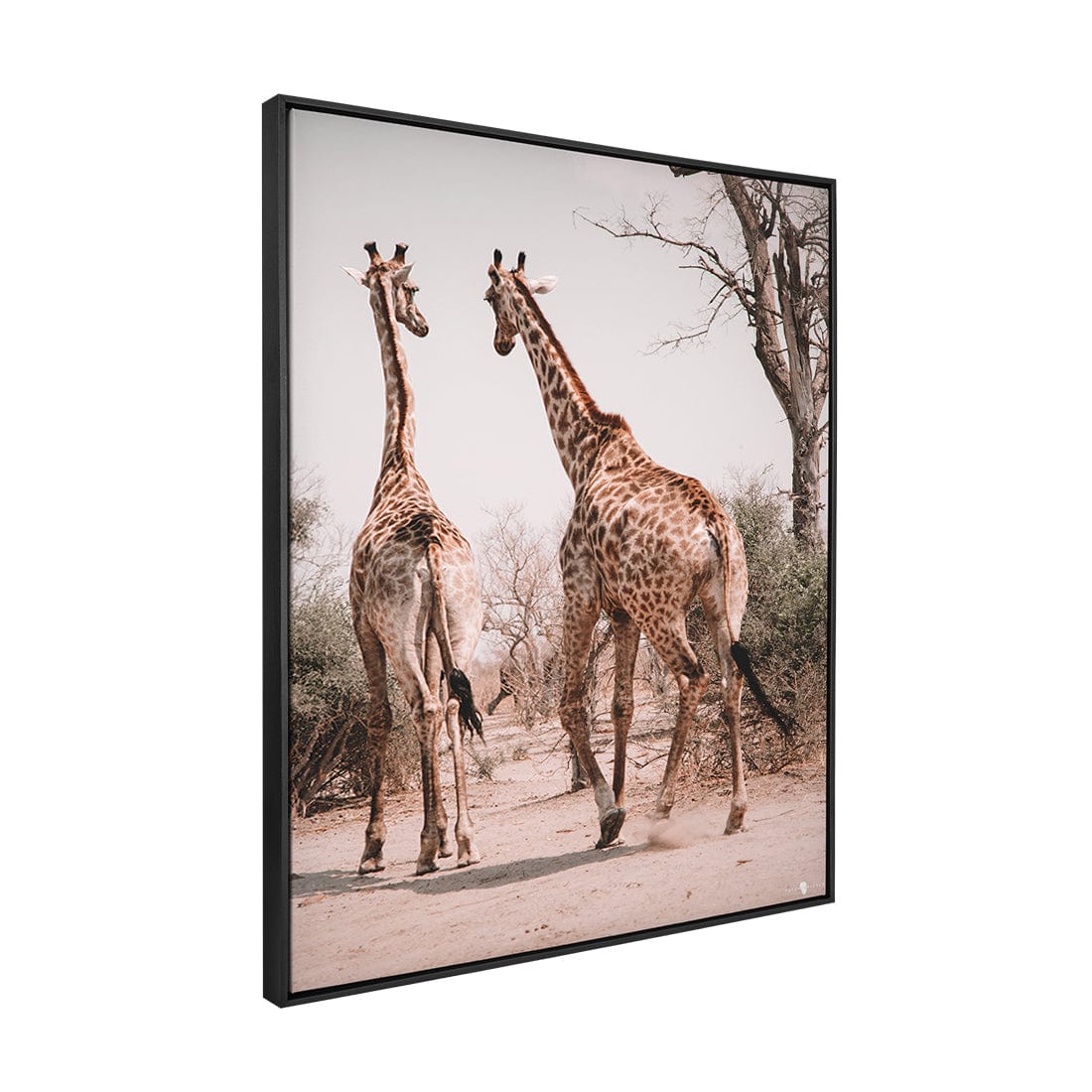 Quadro Decorativo Girafas África | Patricia Schussel Gomes
