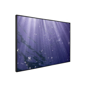 Quadro Decorativo Ametista | Julio Bazanella - Meu Rodapé