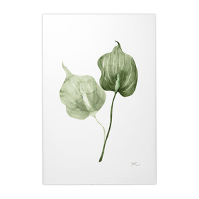 Quadro Decorativo Antúrio Verde | Thaís Mota - Meu Rodapé