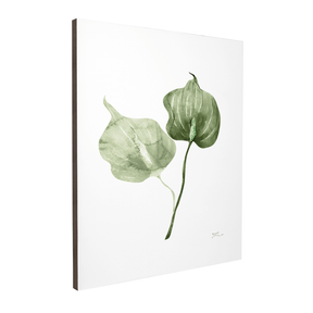 Quadro Decorativo Antúrio Verde | Thaís Mota - Meu Rodapé