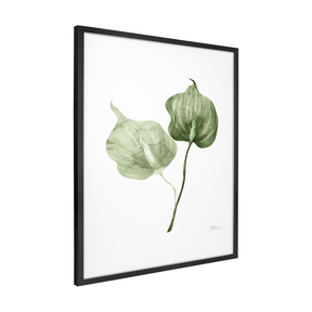 Quadro Decorativo Antúrio Verde | Thaís Mota - Meu Rodapé