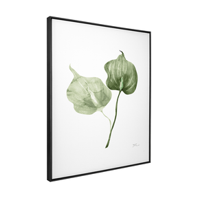 Quadro Decorativo Antúrio Verde | Thaís Mota - Meu Rodapé