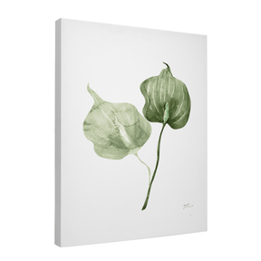 Quadro Decorativo Antúrio Verde | Thaís Mota - Meu Rodapé