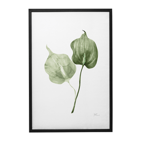 Quadro Decorativo Antúrio Verde | Thaís Mota - Meu Rodapé