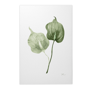Quadro Decorativo Antúrio Verde | Thaís Mota - Meu Rodapé