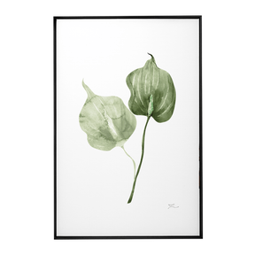 Quadro Decorativo Antúrio Verde | Thaís Mota - Meu Rodapé