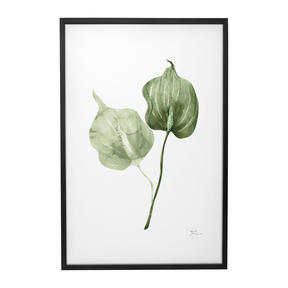 Quadro Decorativo Antúrio Verde | Thaís Mota - Meu Rodapé