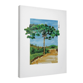 Quadro Decorativo Araucária | Paulo Ferrari - Meu Rodapé