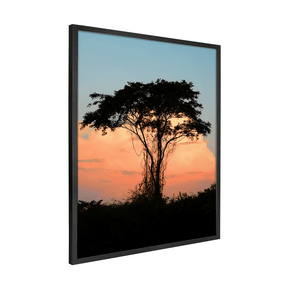 Quadro Decorativo Árvore | Sâmia Munaretti & Marcelo Baldin - Meu Rodapé