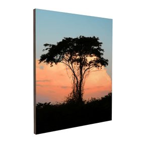 Quadro Decorativo Árvore | Sâmia Munaretti & Marcelo Baldin - Meu Rodapé