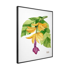 Quadro Decorativo Bananeira | Camila Pasinato - Meu Rodapé