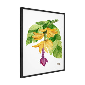 Quadro Decorativo Bananeira | Camila Pasinato - Meu Rodapé