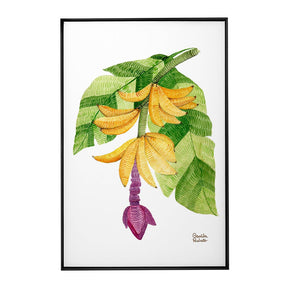Quadro Decorativo Bananeira | Camila Pasinato - Meu Rodapé