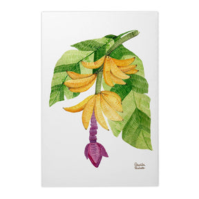 Quadro Decorativo Bananeira | Camila Pasinato - Meu Rodapé