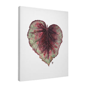 Quadro Decorativo Begônia Rex | Ana Carolina Vivian - Meu Rodapé