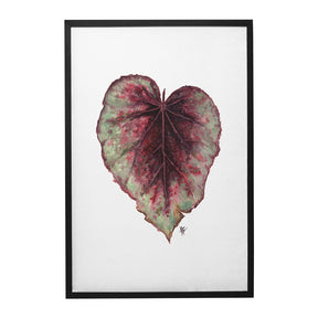 Quadro Decorativo Begônia Rex | Ana Carolina Vivian - Meu Rodapé