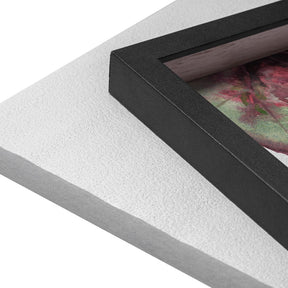 Quadro Decorativo Begônia Rex | Ana Carolina Vivian - Meu Rodapé