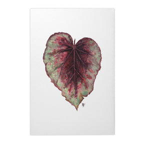 Quadro Decorativo Begônia Rex | Ana Carolina Vivian - Meu Rodapé