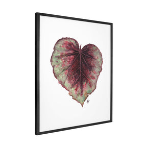 Quadro Decorativo Begônia Rex | Ana Carolina Vivian - Meu Rodapé