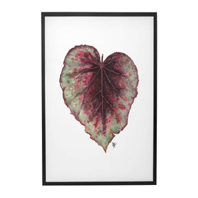 Quadro Decorativo Begônia Rex | Ana Carolina Vivian - Meu Rodapé