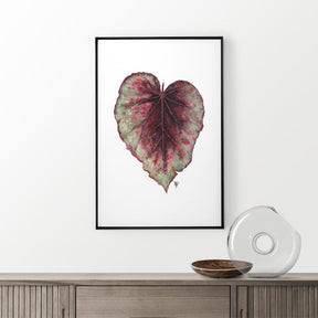 Quadro Decorativo Begônia Rex | Ana Carolina Vivian - Meu Rodapé