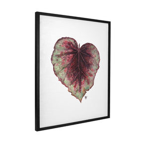 Quadro Decorativo Begônia Rex | Ana Carolina Vivian - Meu Rodapé