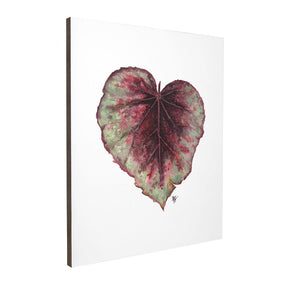 Quadro Decorativo Begônia Rex | Ana Carolina Vivian - Meu Rodapé
