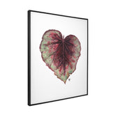 Quadro Decorativo Begônia Rex | Ana Carolina Vivian - Meu Rodapé