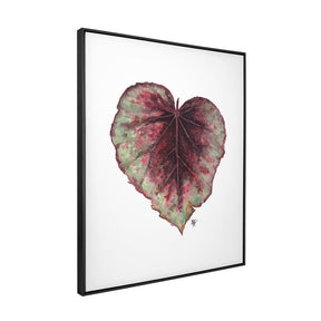 Quadro Decorativo Begônia Rex | Ana Carolina Vivian - Meu Rodapé
