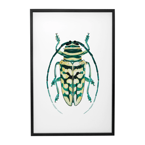 Quadro Decorativo Besouro 1 | Rodrigo Paladino - Meu Rodapé