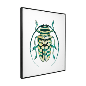 Quadro Decorativo Besouro 1 | Rodrigo Paladino - Meu Rodapé