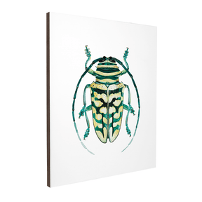Quadro Decorativo Besouro 1 | Rodrigo Paladino - Meu Rodapé
