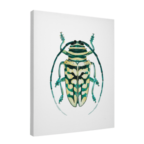 Quadro Decorativo Besouro 1 | Rodrigo Paladino - Meu Rodapé