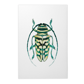 Quadro Decorativo Besouro 1 | Rodrigo Paladino - Meu Rodapé