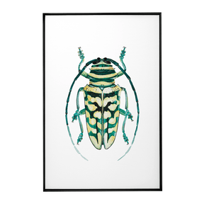 Quadro Decorativo Besouro 1 | Rodrigo Paladino - Meu Rodapé