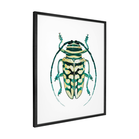 Quadro Decorativo Besouro 1 | Rodrigo Paladino - Meu Rodapé