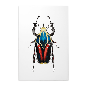 Quadro Decorativo Besouro 2 | Rodrigo Paladino - Meu Rodapé